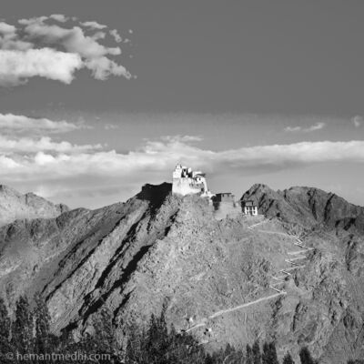 MG_5796-Ladakh